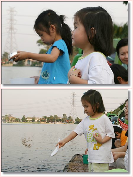 fish061.jpg