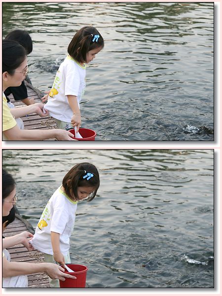 fish10.jpg