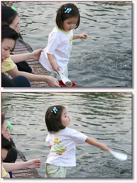 fish13.jpg