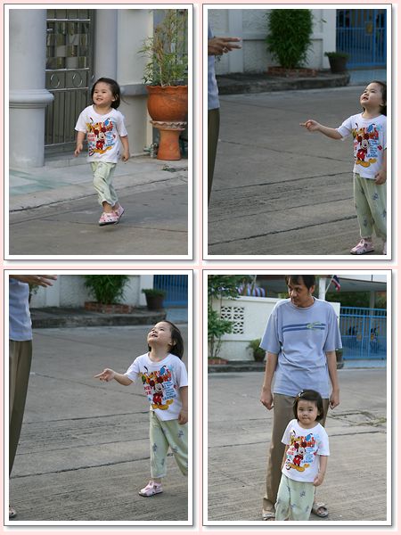 c06.jpg