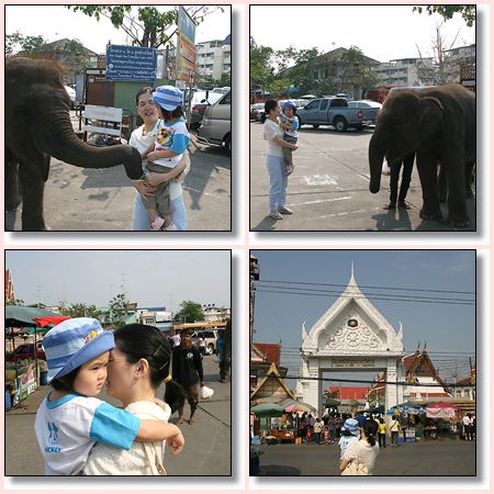 d03.jpg