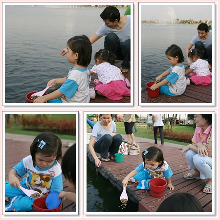 d051.jpg