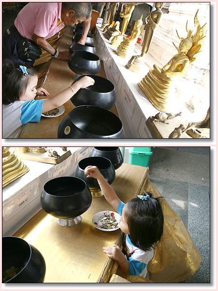 d06.jpg