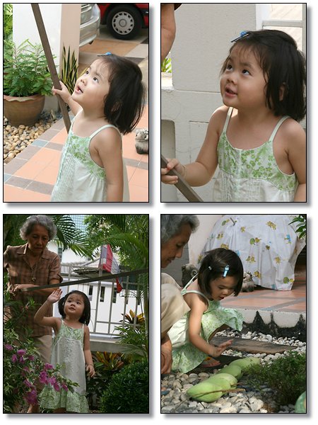 kk02.jpg