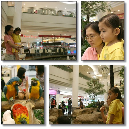 n05.jpg