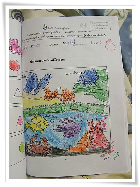 color14.jpg