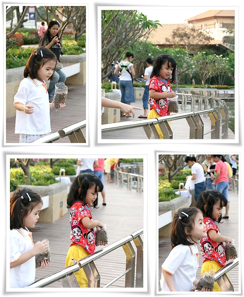 aa02.jpg