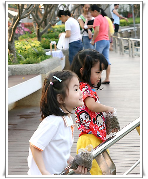 m03.jpg