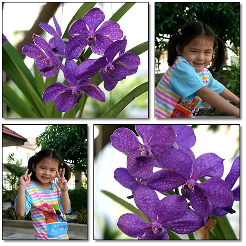 sd05 sd05